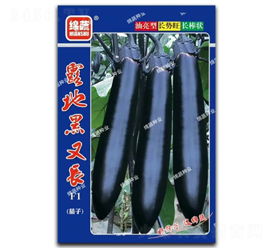¶�غ��ֳ�-��������-������ҵ