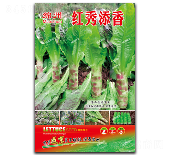 ��������-ݫ������-������ҵ