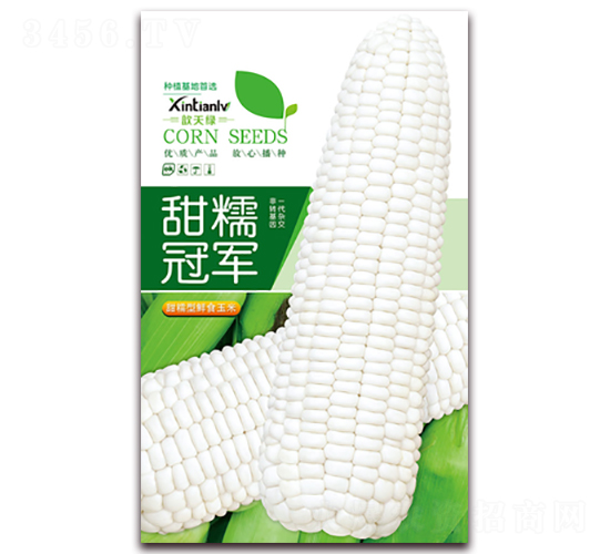 ��Ŵ�ھ�-��Ŵ��������-�����