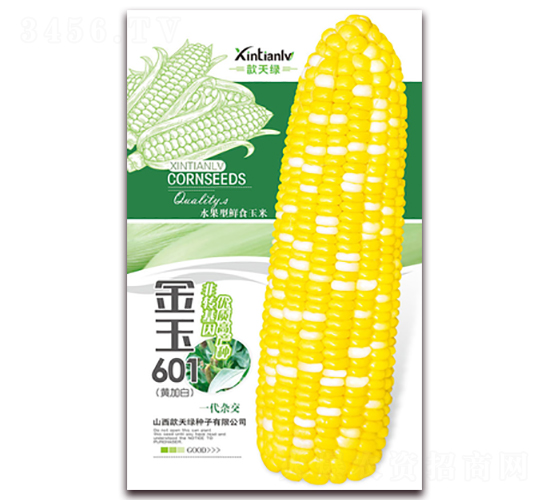 ����601-��Ŵ��������-�����