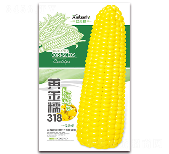 �ƽ�Ŵ318-��Ŵ��������-�����