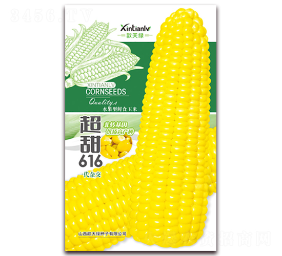 ����616-��Ŵ��������-�����