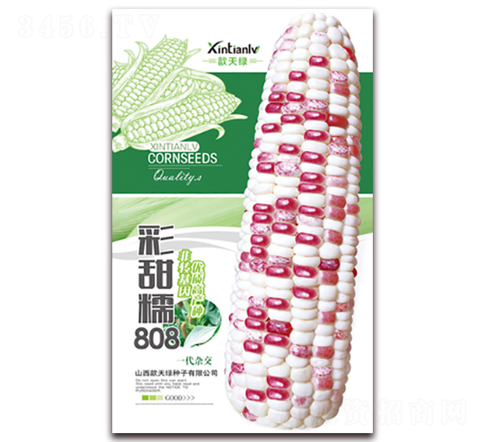 ����Ŵ808-��Ŵ��������-�����