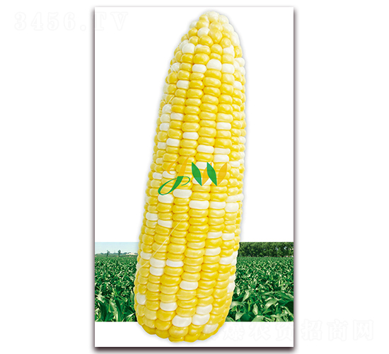 ������450��-��ʳ��������-Ӫ�ھ���