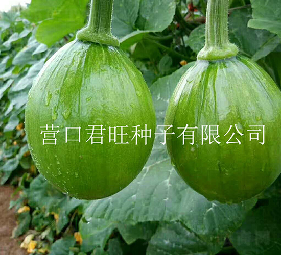 ��������-�Ϲ�����-Ӫ�ھ���