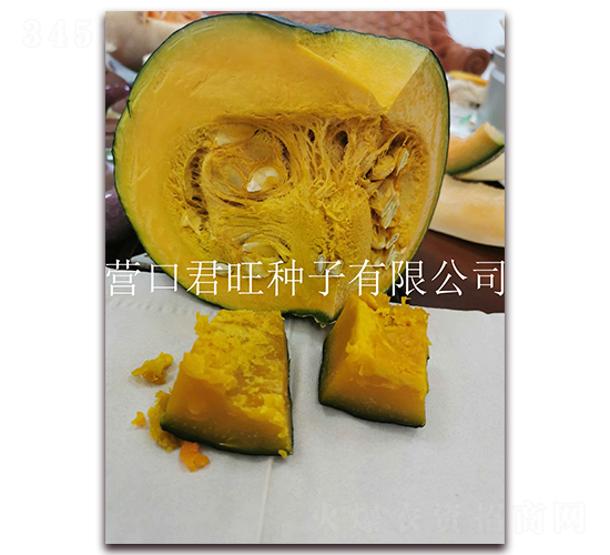 ������-�Ϲ�����-Ӫ�ھ���