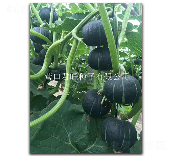 ����2��-�Ϲ�����-Ӫ�ھ���