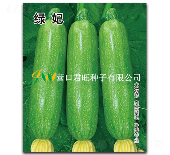 ����-����«����-Ӫ�ھ���