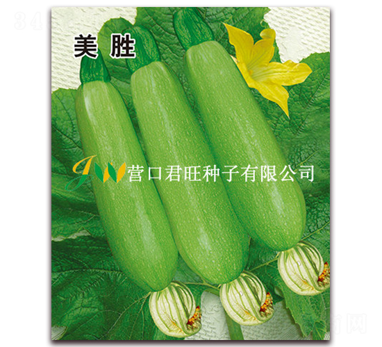 ��ʤ-����«����-Ӫ�ھ���