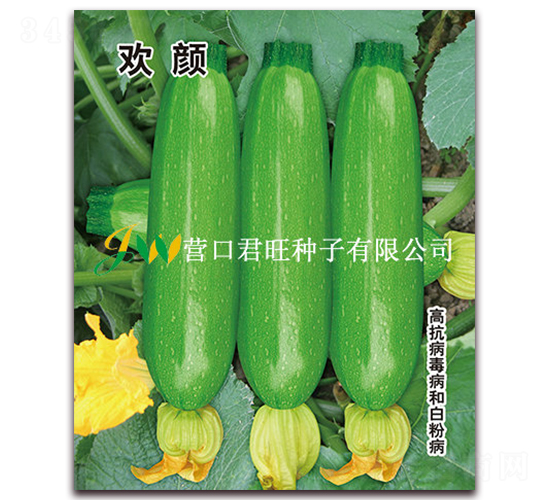 ����-����«����-Ӫ�ھ���