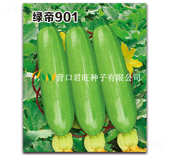 �̵�901-����«����-Ӫ�ھ���