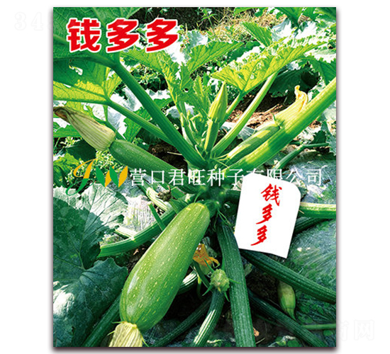 Ǯ���-����«����-Ӫ�ھ���