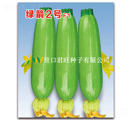 �̼�2��-����«����-Ӫ�ھ���