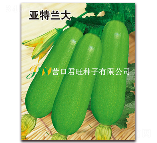 ��������-����«����-Ӫ�ھ���