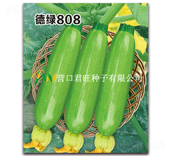 ����808-����«����-Ӫ�ھ���