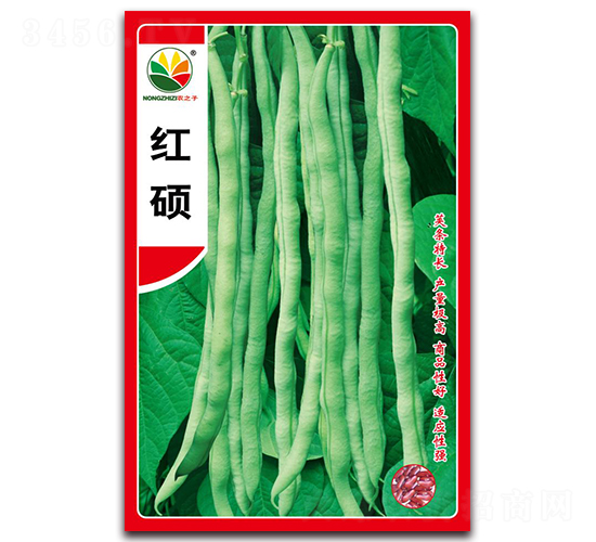 ��˶-��������-ũ֮��