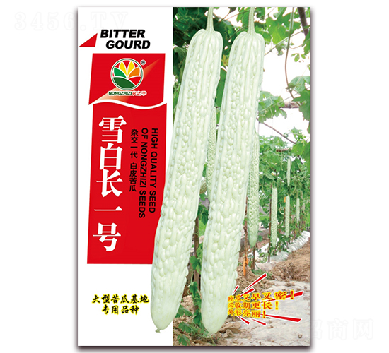 ѩ�׳�һ��-�������-ũ֮��