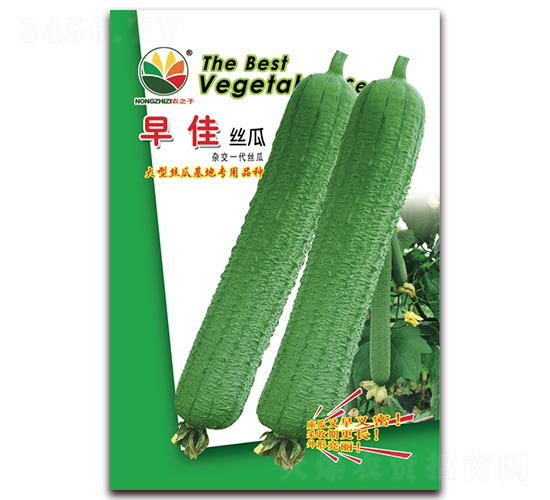 ���˿��-˿������-ũ֮��