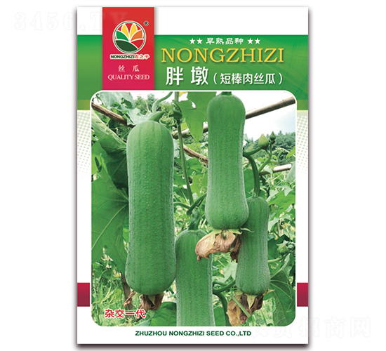�ֶն̰���˿��-˿������-ũ֮��