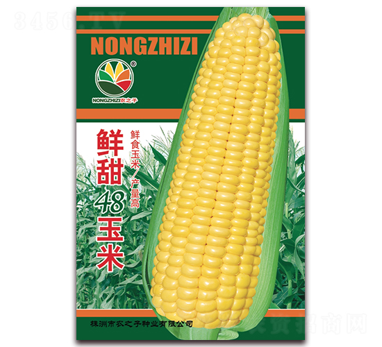 ����48����-��������-ũ֮��