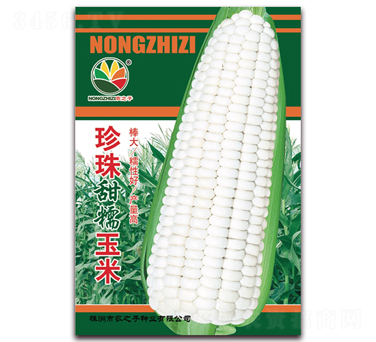 ������Ŵ����-��������-ũ֮��