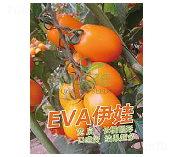 ����-ӣ�ҷ�������-��ػ���