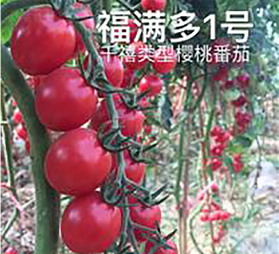 ������1��-ӣ�ҷ�������-��ػ���