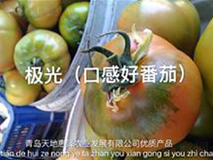 ����-ӣ�ҷ�������-��ػ���