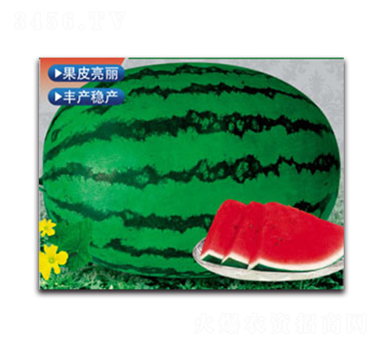 �޿�����-��������-����ӯũҵ