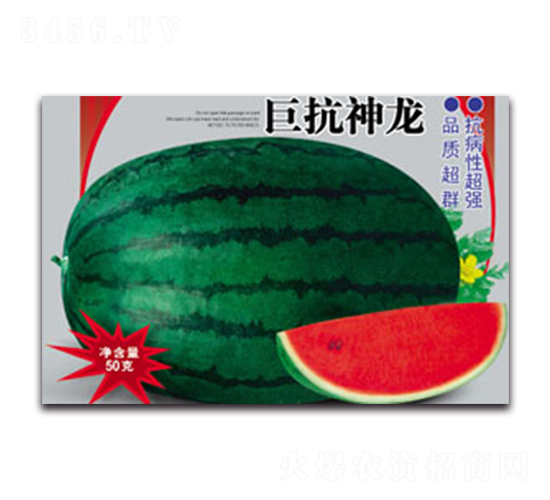 �޿�����-��������-����ӯũҵ
