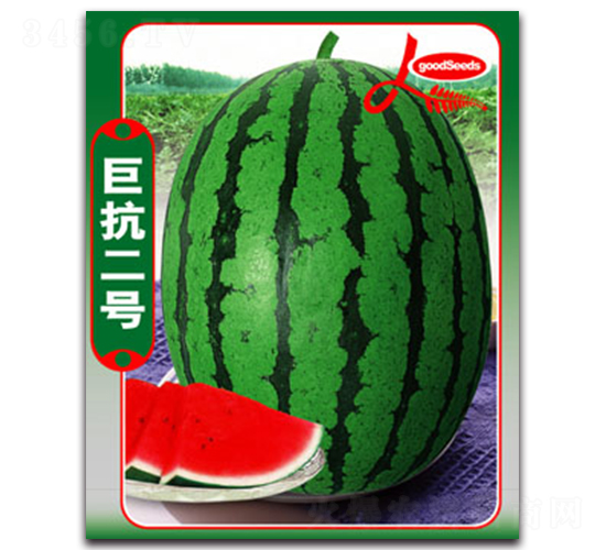 �޿�����-��������-����ӯũҵ