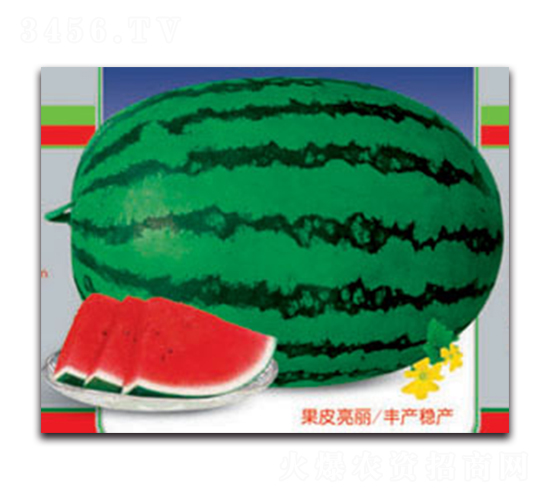�޿����-��������-����ӯũҵ