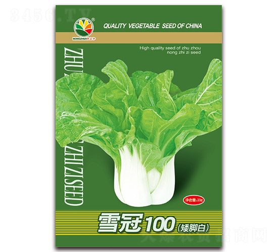 ѩ��100-���Ű�����-ũ֮��