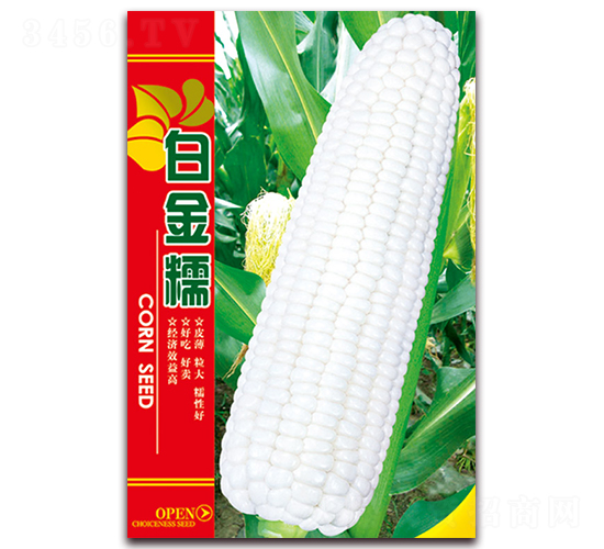 �׽�Ŵ-Ŵ��������-������ҵ