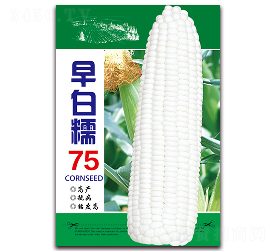 ���Ŵ75-Ŵ��������-������ҵ