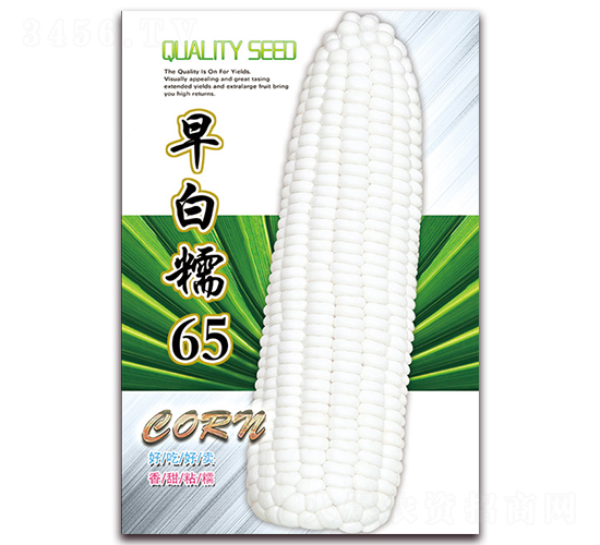���Ŵ65-Ŵ��������-������ҵ