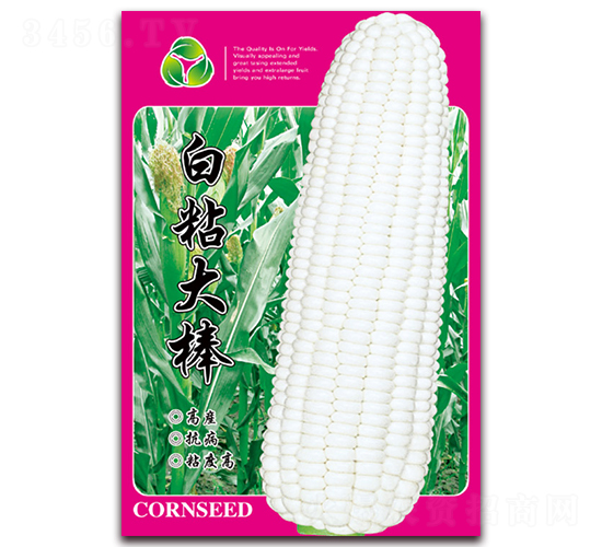��ճ���-Ŵ��������-������ҵ