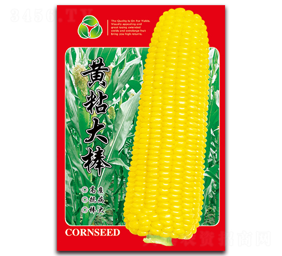 ��ճ���-Ŵ��������-������ҵ