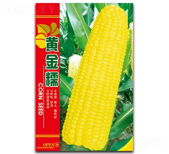�ƽ�Ŵ-Ŵ��������-������ҵ
