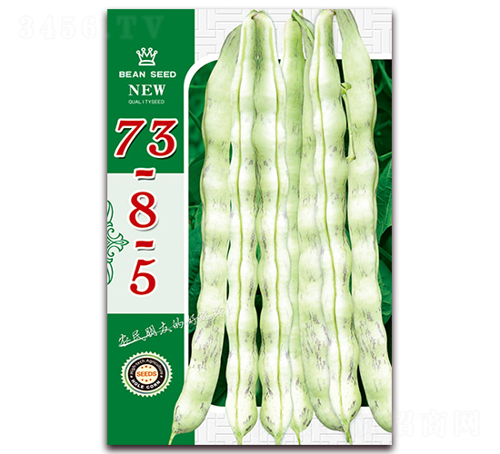 73-8-5-��������-������ҵ