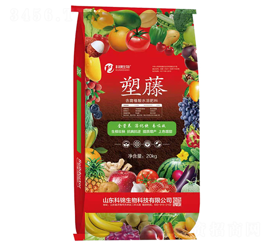 ����ֲ��ˮ�ܷ���-����-�ƽ�����
