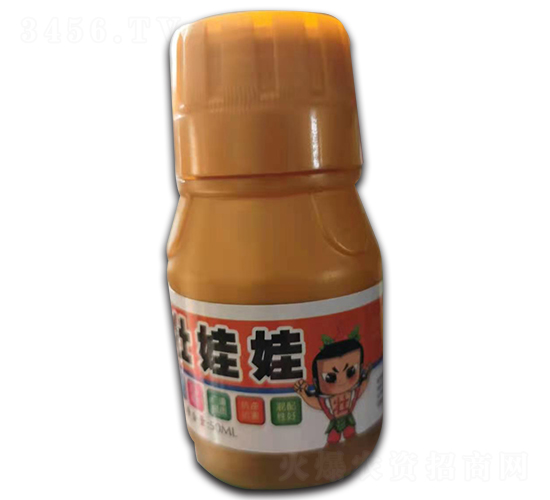 Ҷ���-׳����