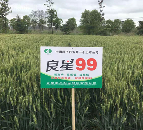����99-С������-������ҵ