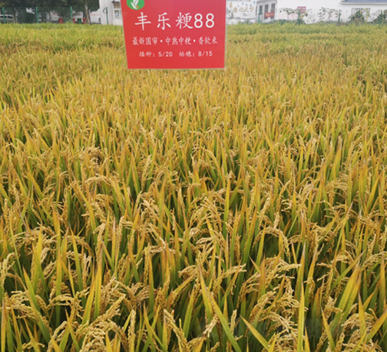 ���־�88-ˮ������-������ҵ