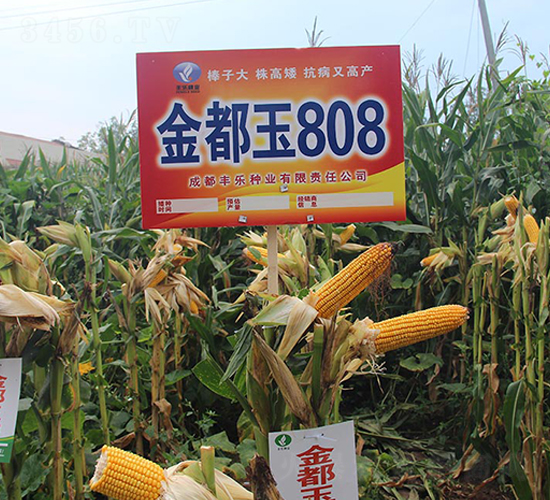 ����808-��������-������ҵ