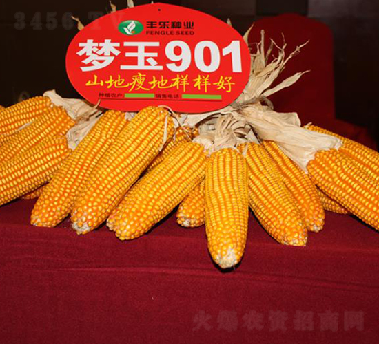 ����901-��������-������ҵ