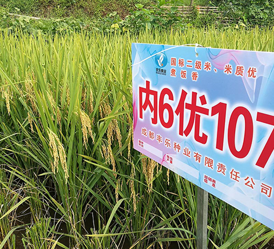 ��6��107-ˮ������-������ҵ