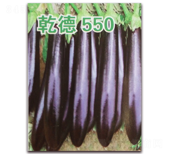 Ǭ��550-��������-Ǭ����ҵ