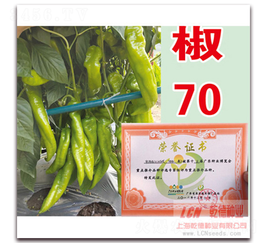 Ǭ�½�70-��������-Ǭ����ҵ