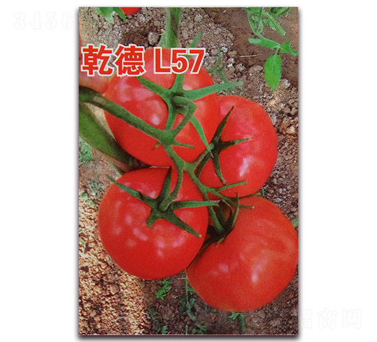 Ǭ��L57-��췬������-Ǭ����ҵ